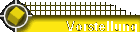 Vorstellung